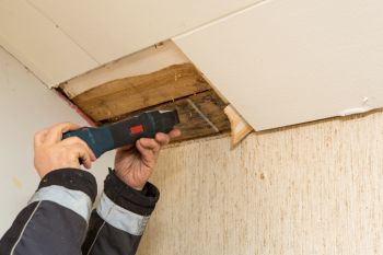 Mold Testing by NJ Inspects